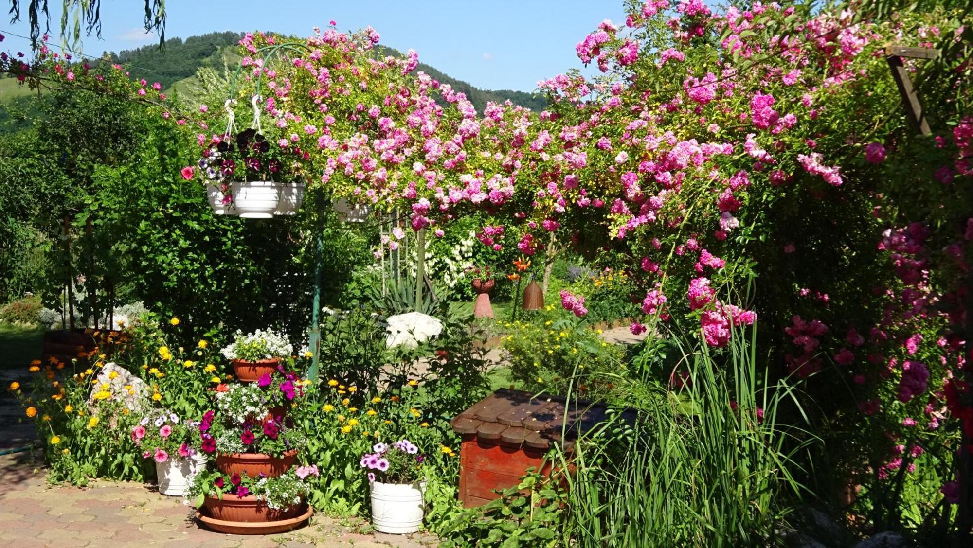 Holiday Vendeghaz Es Szabadidokert Jardanhaza Bagian luar foto