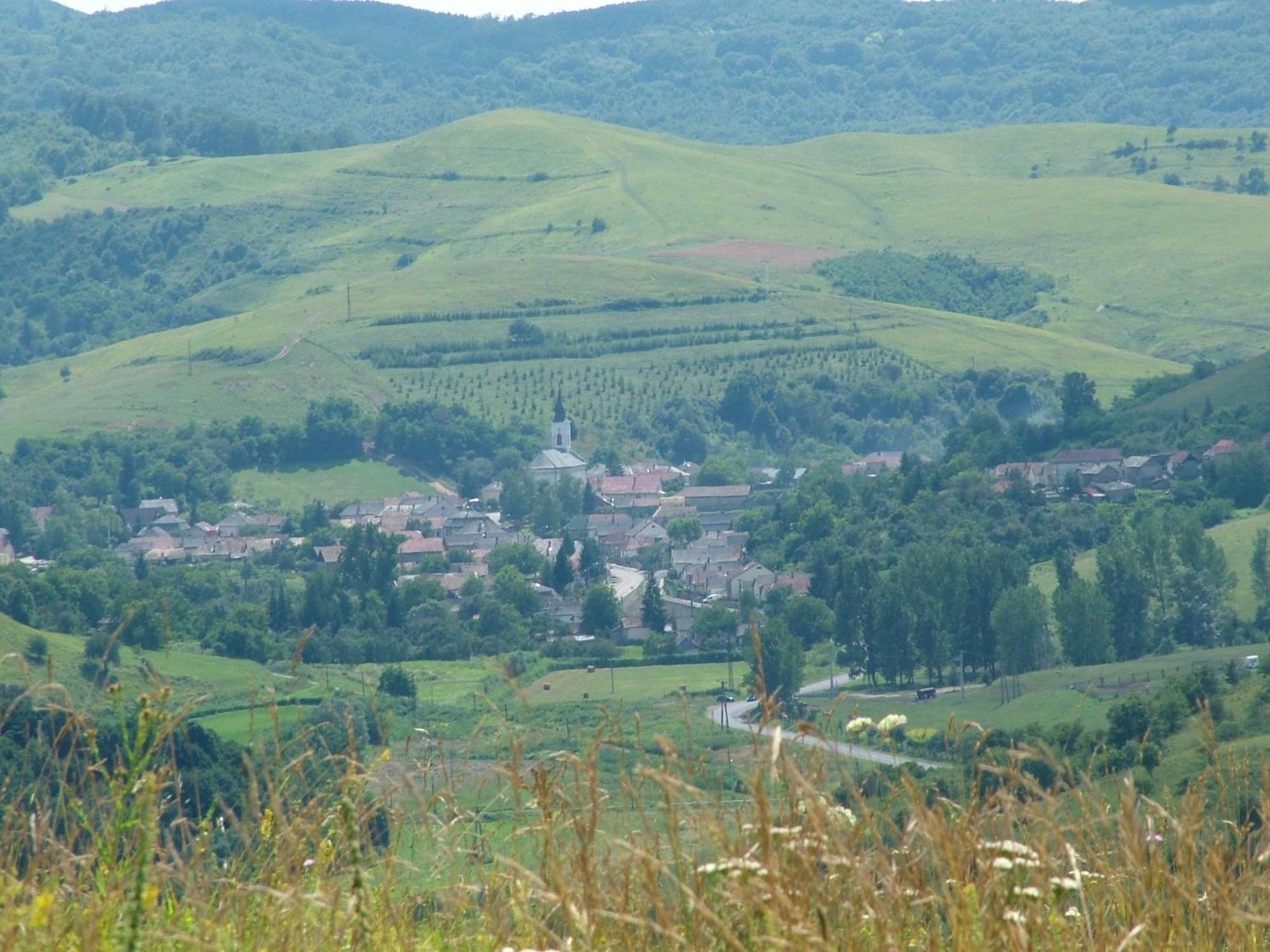 Holiday Vendeghaz Es Szabadidokert Jardanhaza Bagian luar foto